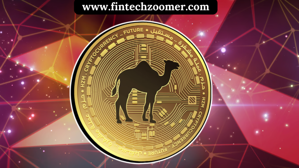 www.fintechzoomer.com