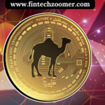 www.fintechzoomer.com