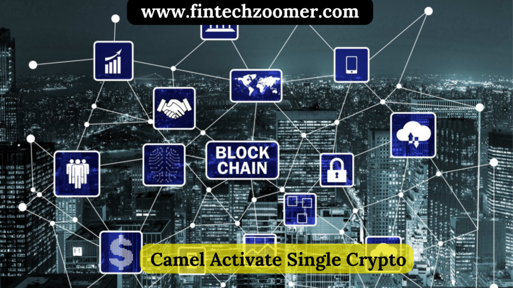 camel activate single crypto