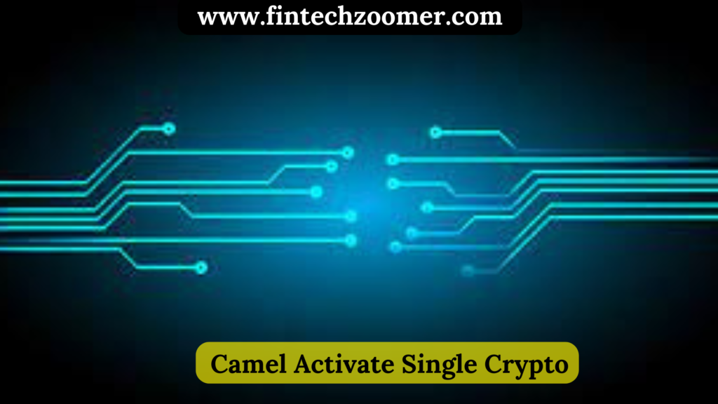 camel activate single crypto