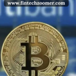 www.fintechzoomer.com