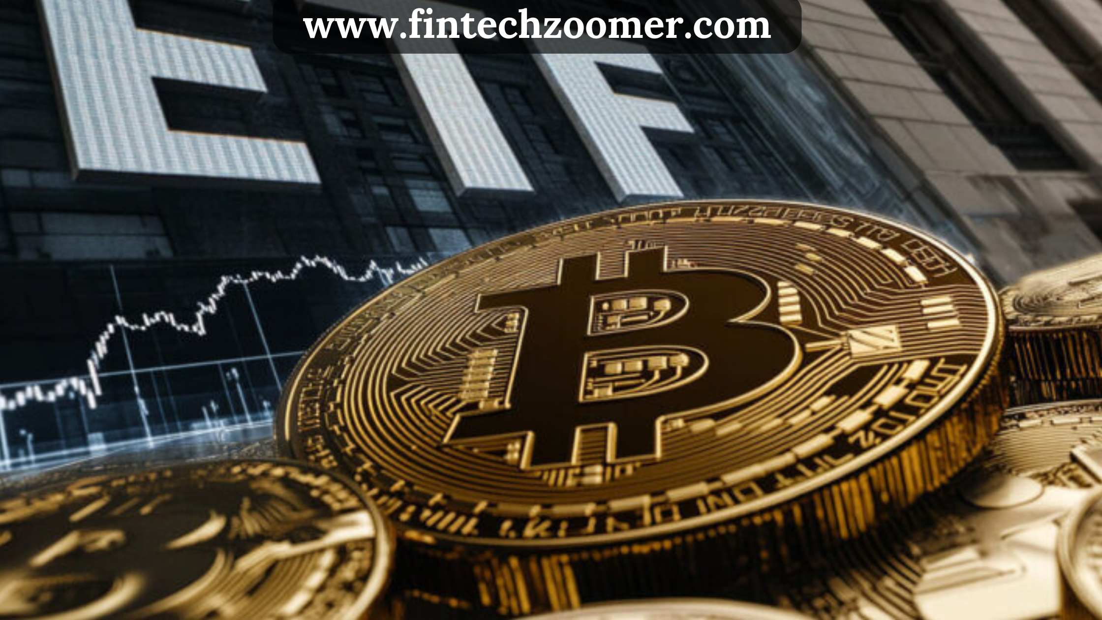 www.fintechzoomer.com